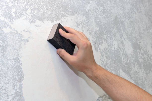 Best Emergency Mold Remediation  in Taylors Falls, MN