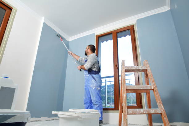 Best Industrial Mold Remediation  in Taylors Falls, MN