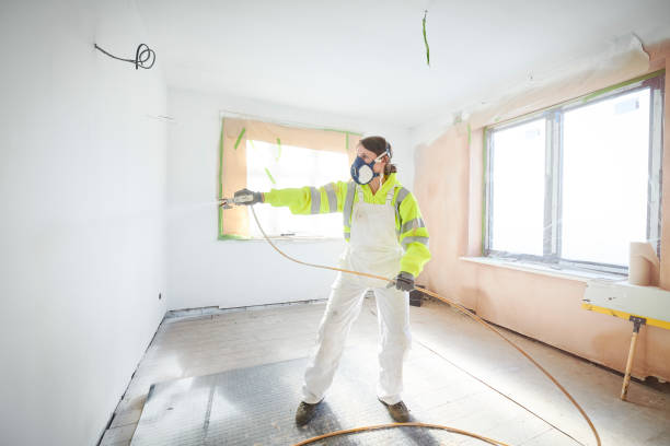 Best Environmental Consulting for Mold Prevention  in Taylors Falls, MN