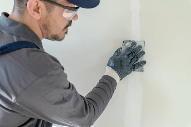 Best Biohazard Mold Removal  in Taylors Falls, MN