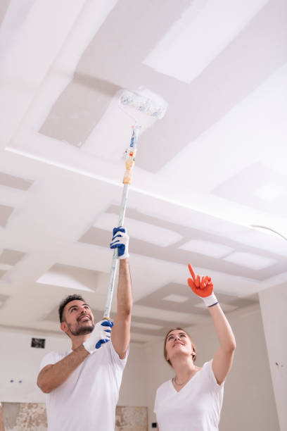 Taylors Falls, MN Mold Removal Company