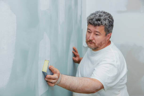Best Black Mold Removal  in Taylors Falls, MN