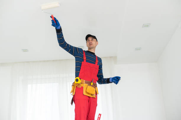 Best Crawl Space Mold Remediation  in Taylors Falls, MN