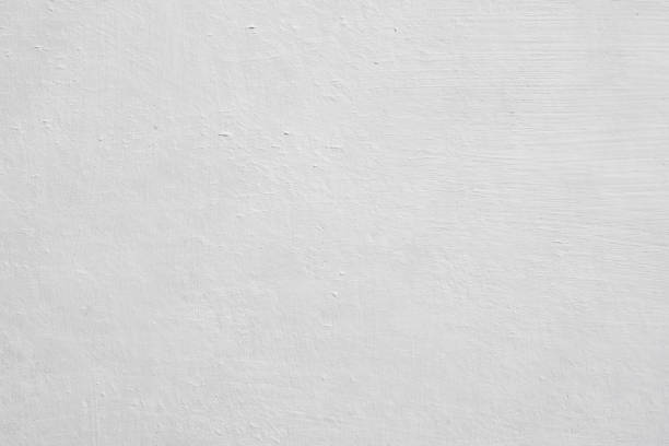 Best Mold Odor Removal Services  in Taylors Falls, MN