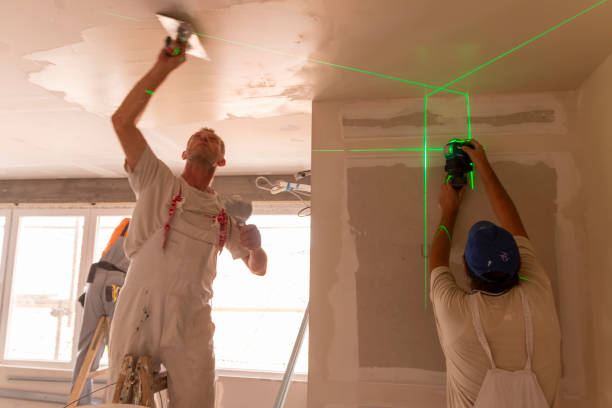 Best Basement Mold Removal  in Taylors Falls, MN