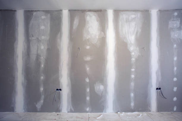 Best Mold Documentation for Insurance Claims  in Taylors Falls, MN
